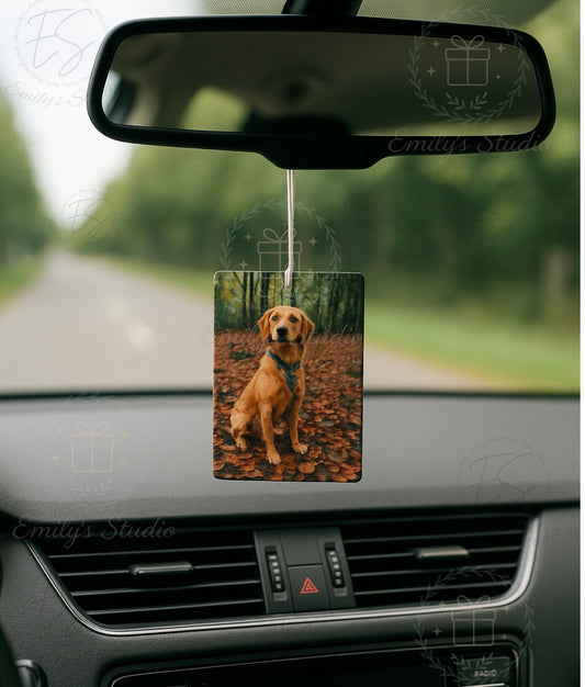 Unscented Car air freshener