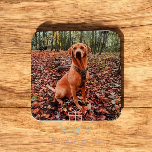 Photo cork Coasters